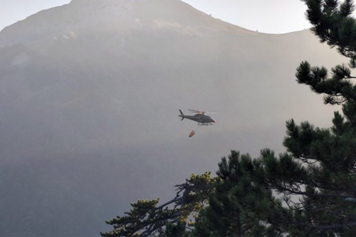 Čančar: Vatra u Nacionalnom parku Sutjeska i dalje gori, požar zahvatio i borovu šumu