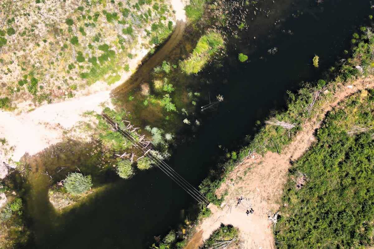 Neretva zavijena u crno: Mrtve ribe i rakovi (FOTO)
