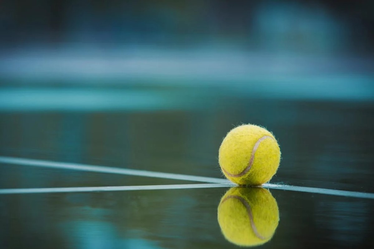 Đoković uzbuđen: ATP turnir opet u Srbiji