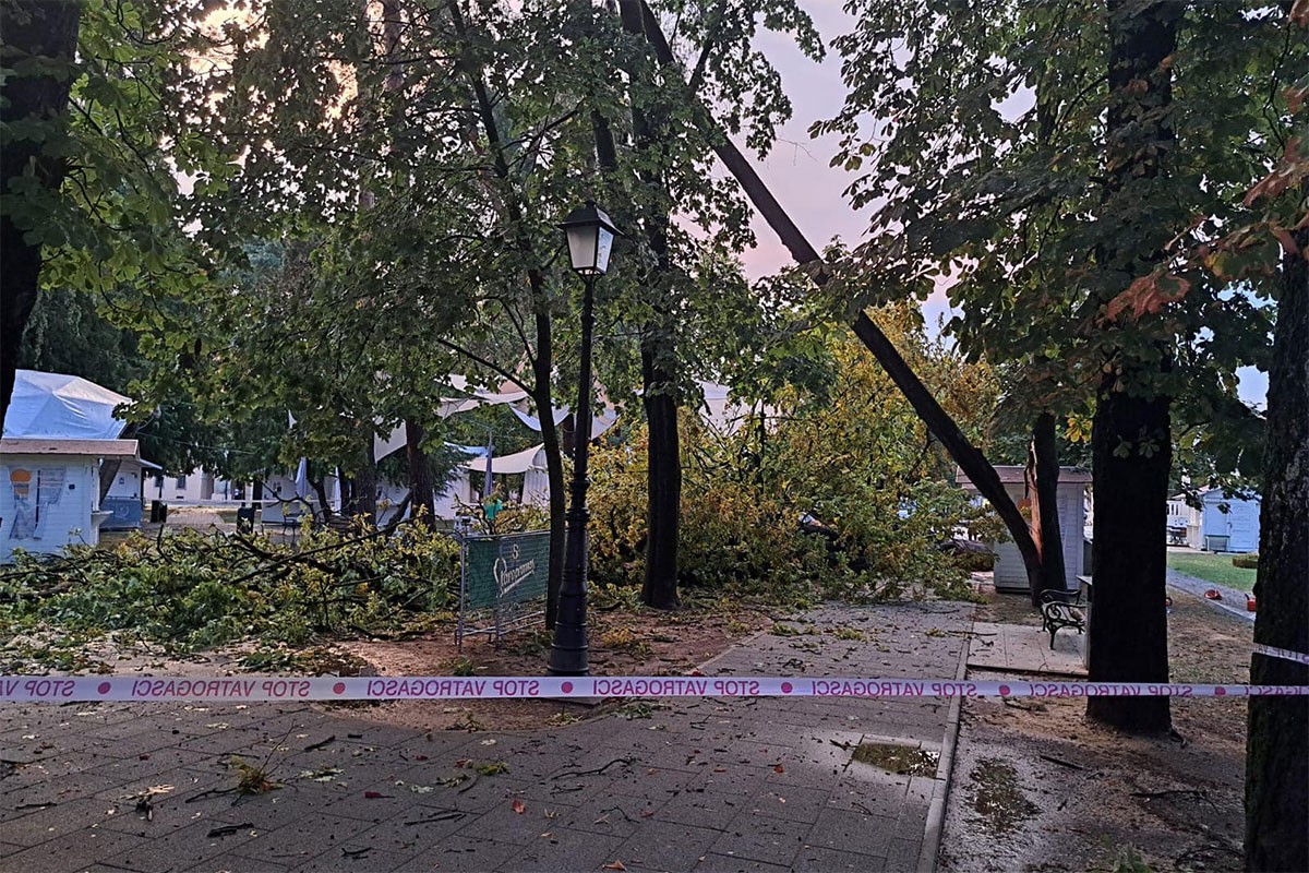 Snažno nevrijeme u Bjelovaru, vjetar čupao stabla