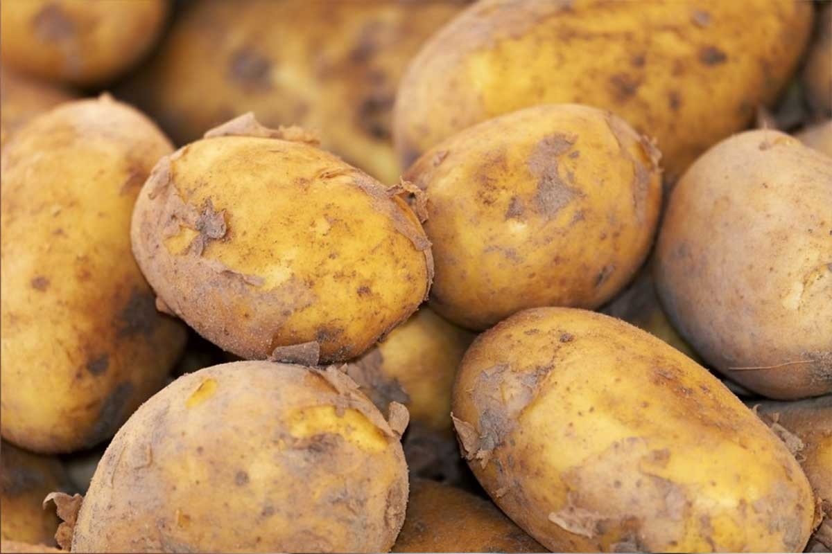 Spriječite klijanje krompira pomoću jednostavnog trika