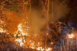 Veliki požar u okolini Aranđelovca, gori 50 hektara šume i niskog ...