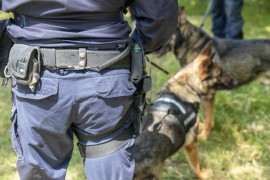 Potraga za nasilnikom koji je pretukao djevojku pa pobjegao (VIDEO)