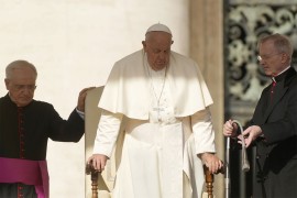 Papa: Italija zaslužuje kritiku jer parovi prije imaju ljubimce nego ...