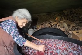 Baka Mare ubrala tonu šljiva, rakiju će podijeliti prijateljima ...