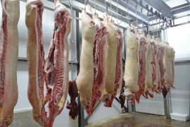 Najveći izvoznik mesa u Danskoj planira da otpusti oko 500 radnika