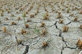 Otkriveno koliko tačno klimatske promjene pojačavaju intenzitet ...