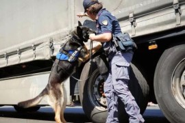 "Roba" vrijedna pet miliona evra: Vozač iz BiH "pao" sa 50 kilograma ...