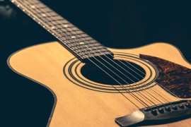 Muzičari svjetski poznatih bendova protestuju protiv vještačke ...