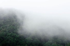 Svjetska meteorološka organizacija: Nivo emisije štetnih gasova ...