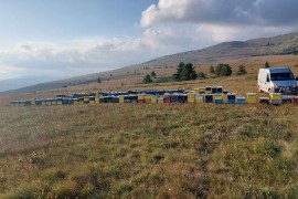 Petković: Nema meda bez točkova