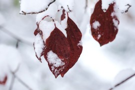 Nagla promjena vremena: Najavljen snijeg u pojedinim dijelovima BiH