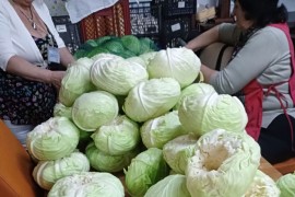 Vrijedni članovi "Bakinog kutka" pripremili kiseli kupus