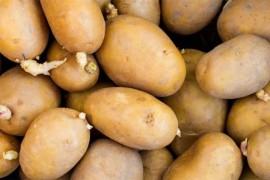 Ljekar upozorava: Ako primijetite ovo na krompiru, nemojte da ga jedete