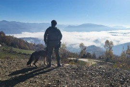 Potraga za Alijom Balijagićem bez pomaka