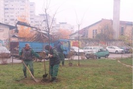Banjaluka će biti bogatija za još 400 stabala