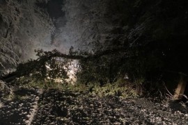 Oborena stabla, kamioni i autobusi u zastoju (VIDEO)