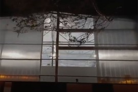 Olujno nevrijeme napravilo haos u Bihaću: Ploče padale s ...