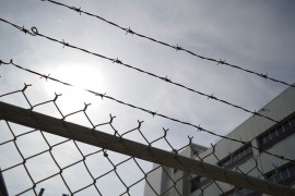Starica mučila više od stotinu životinja, umirale od gladi i ...