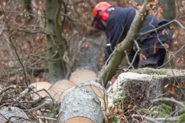 Radnik sa Balkana uhvaćen u preprodaji ukradene šumarske opreme