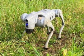 Robot pas pomaže engleskim poljoprivrednicima