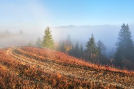Tokom dana prestanak padavina i razvedravanje