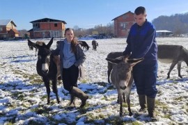 Mladi Prijedorčanin uzgaja magarce, ne razmišlja o odlasku u ...