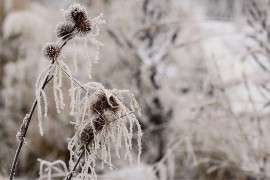 Kako zima utiče na hormone: Uzroci i rješenja