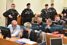 Vještaci na novom suđenju: Na Krunića nije pucano iz blizine niti iz pištolja