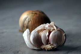 Ovo su najmoćniji prirodni antibiotici koji uništavaju viruse i ...