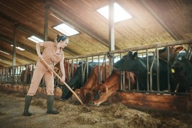 Sve više žena u Užicu postaju vlasnice gazdinstva