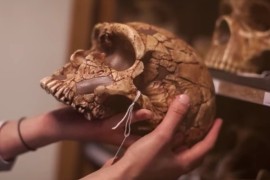 Svi ljudi u Evropi u sebi nose gene neandertalaca