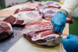 Svinjokolj - običaj koji nestaje: "Prije je svaka kuća držala ...