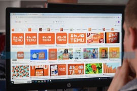 Pošiljke samo pristižu: Evo koliko su građani BiH potrošili para na ...