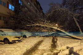 Drvo palo na auta i zgradu, banjalučka ulica u blokadi
