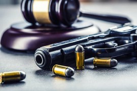 Od policije sakrio tuđe oružje u trupac pored lokala