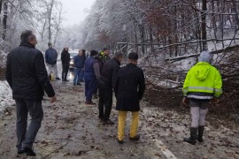 Vozači se organizovali i sami uklonili stabla sa puta