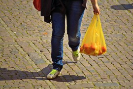 Od plastičnih kesa prihod 100 hiljada evra za mjesec dana