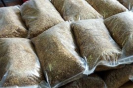 Zaplijenjeno 300 kilograma rezanog duvana, uhapšene dvije osobe