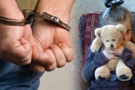 Pedofil iz Gradiške osuđen na godinu dana zatvora