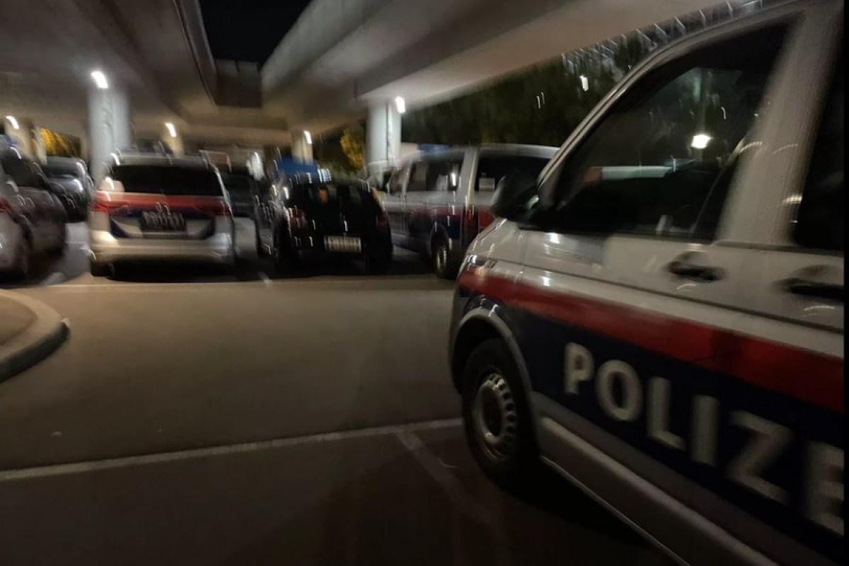 Srbin pretukao ženu pa napao i bečke policajce