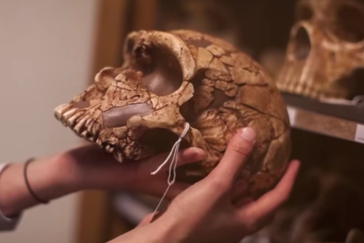 Svi ljudi u Evropi u sebi nose gene neandertalaca