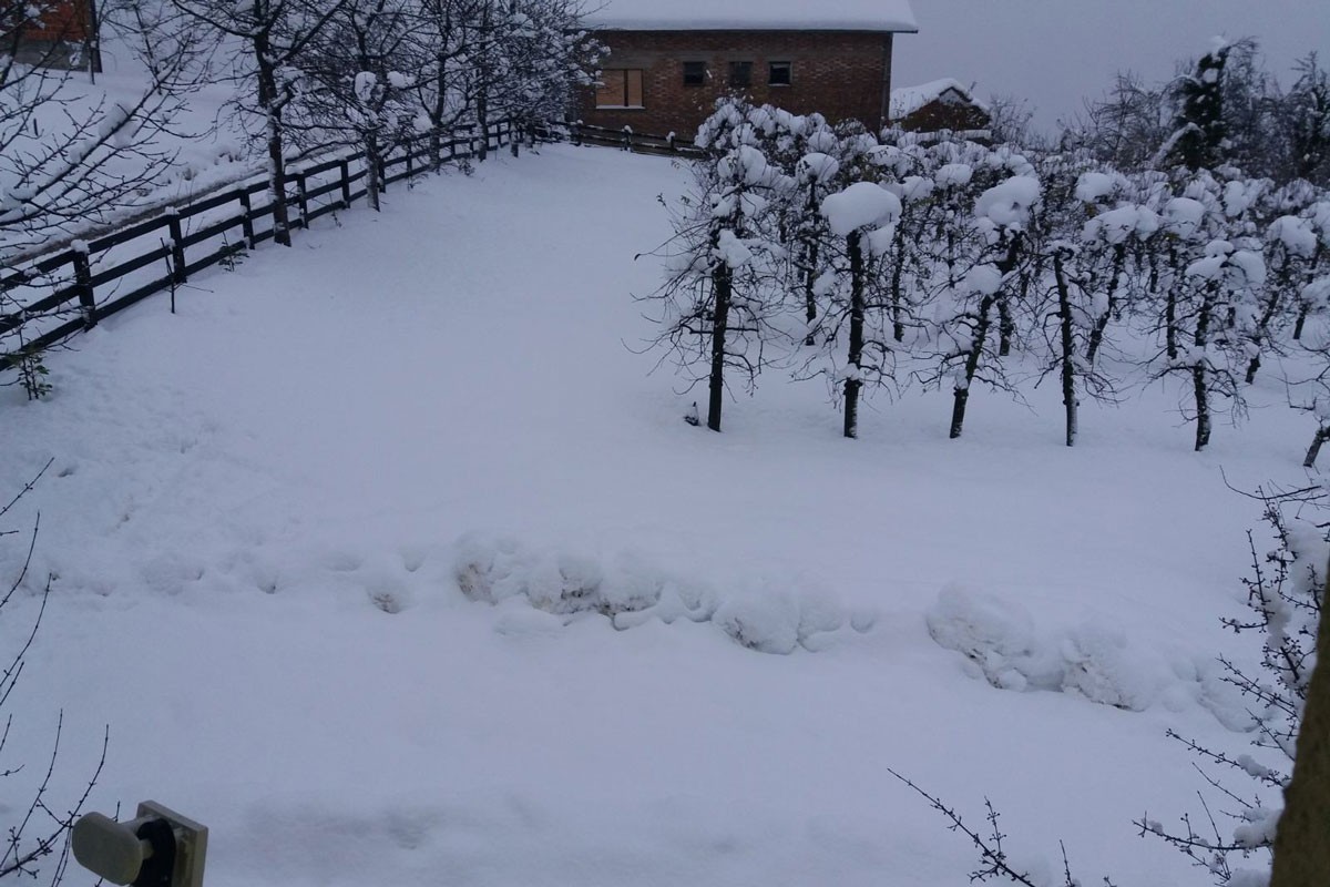 Potkozarje dobilo struju