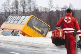 Žena iz BiH bila za volanom školskog autobusa koji je sletio s puta u ...
