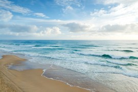 Misteriozne loptice pojavile se na obali, zatvorene popularne plaže ...