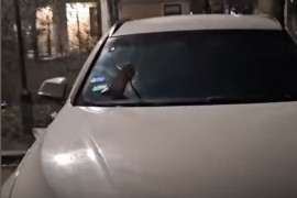 Burna noć u Beogradu: Crvena štikla zabodena u šajbu bijelog BMW-a ...