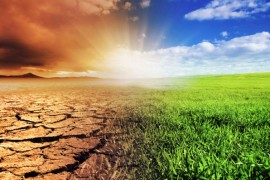 Naučnici upozoravaju: Nivo ugljen-dioksida u atmosferi 2024. rastao ...