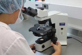 Fosil biljke stare 410 miliona godina rasvjetljava ekološki preokret ...
