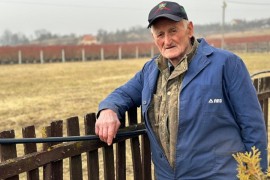 Milorad iz Trnave ima osamdeset godina i gaji "plavo zlato"