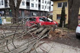 Vjetar srušio stablo u Banjaluci (FOTO)